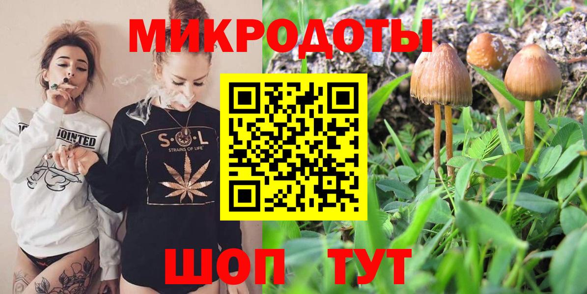 где купить наркотик  Псилоцибиновые грибы Psilocybe  Вход с VPN  Павлово  Галлюциногенные грибы Magic Shrooms 