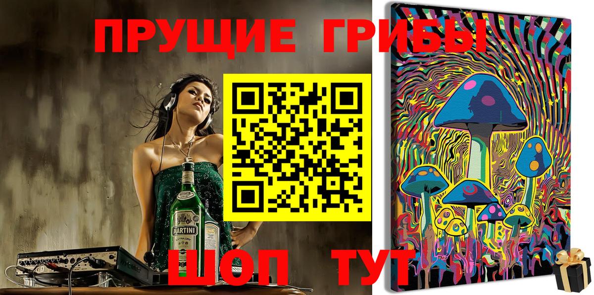 Псилоцибиновые грибы Cubensis Павлово